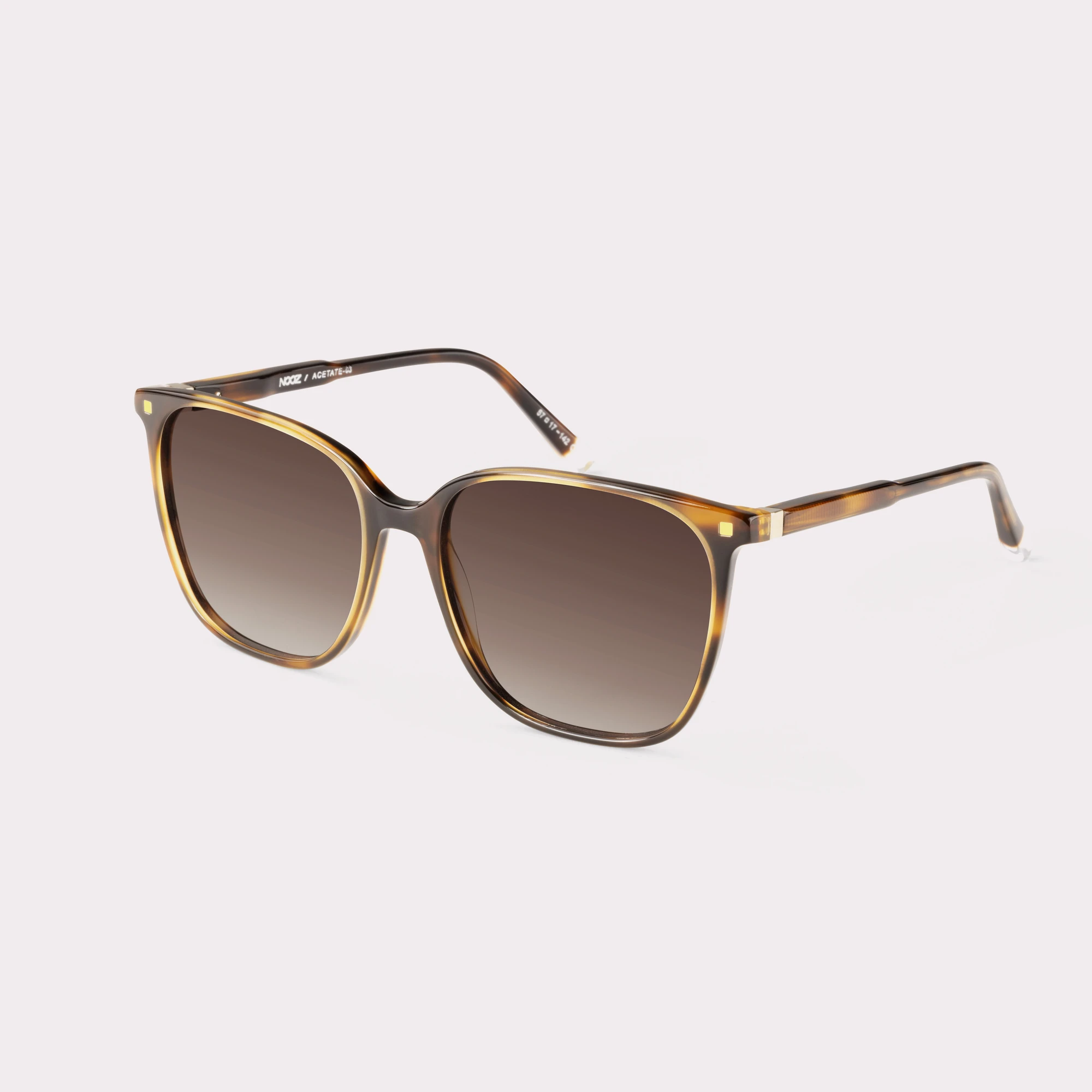A pair of Carla Tortoise Sunglasses  seen from the side