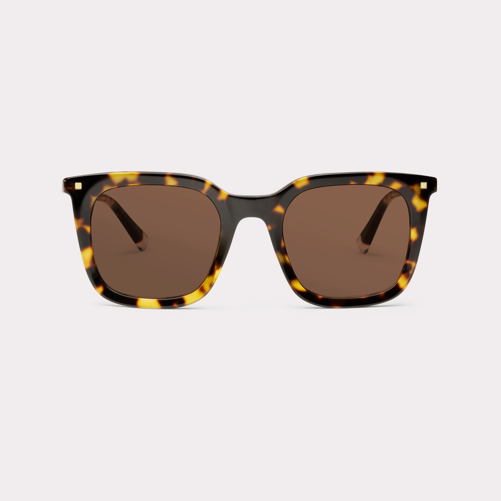A pair of Candid Dark tortoise Sunglasses seen from the front