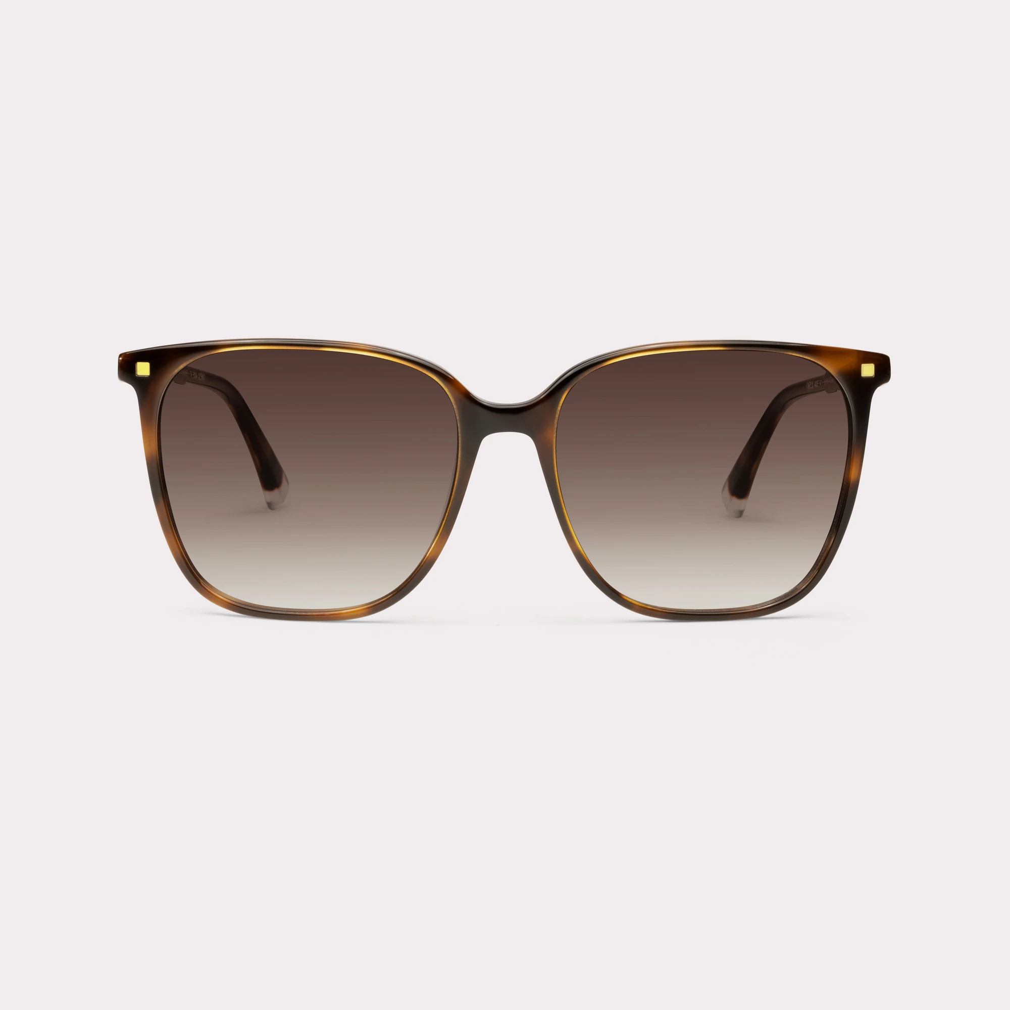 A pair of Carla Tortoise Sunglasses seen from the front