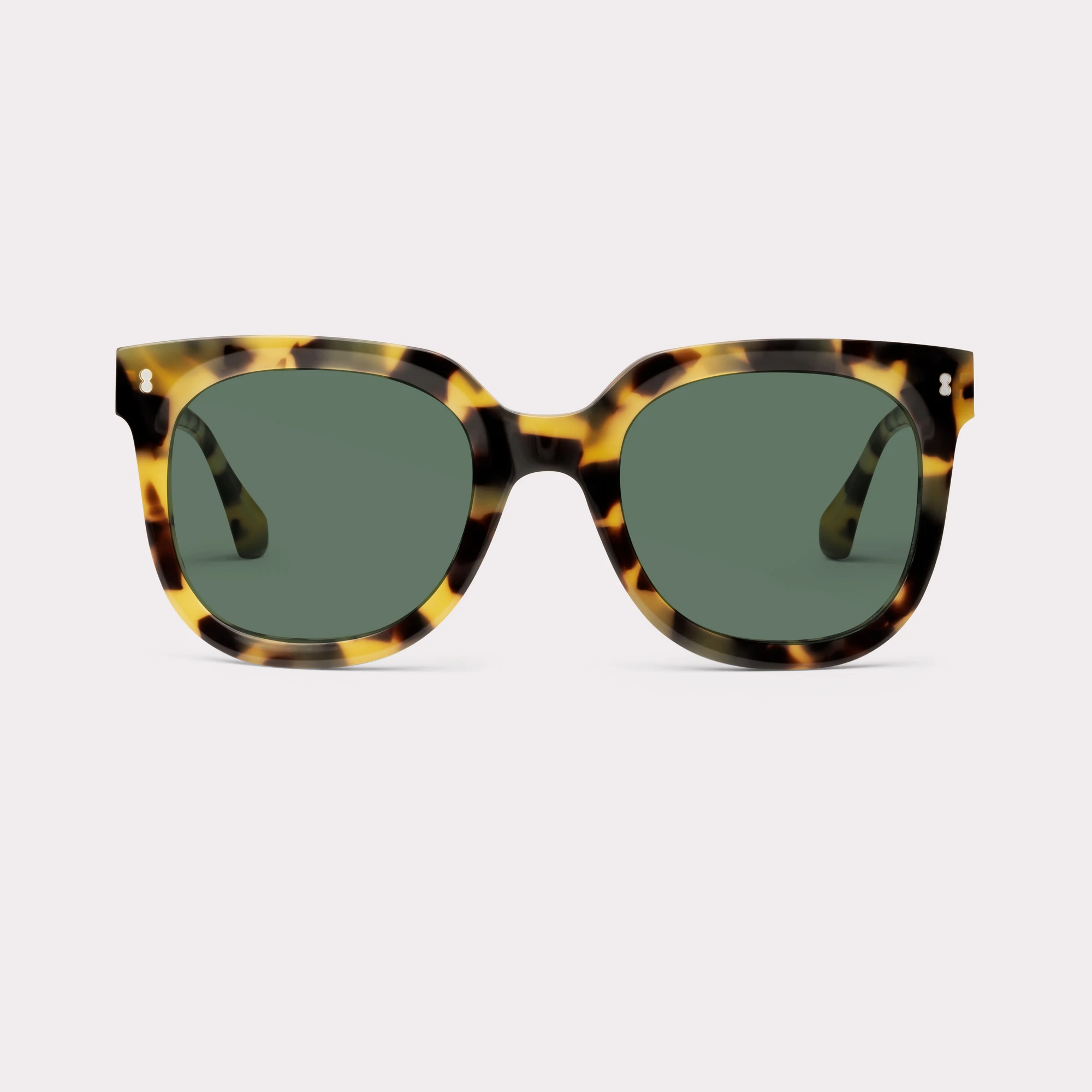 A pair of Sky Brown tortoise Sunglasses seen from the front