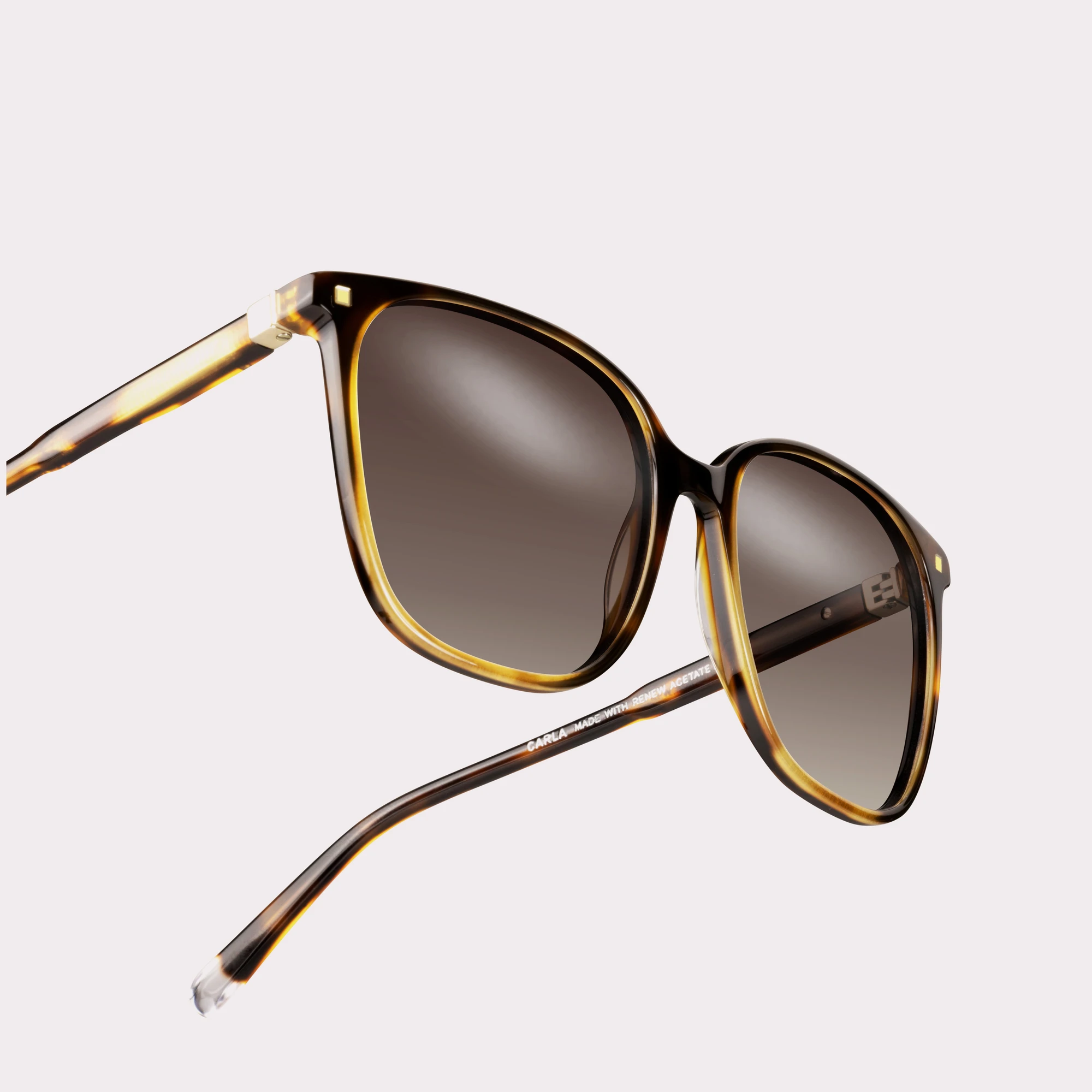 A pair of Carla Tortoise Sunglasses in a macro view