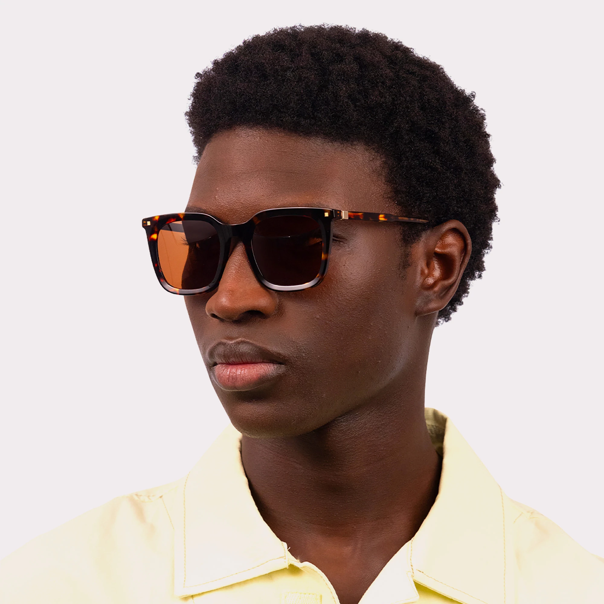 A pair of Candid Dark tortoise Sunglasses